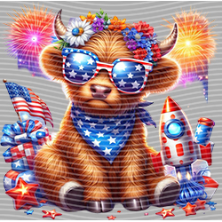 USA-MG 3105